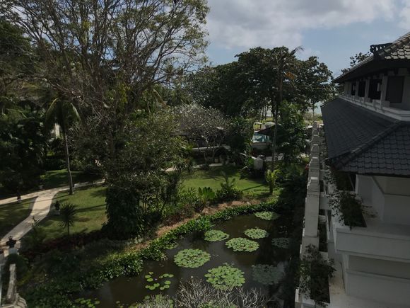 View : sea between the trees