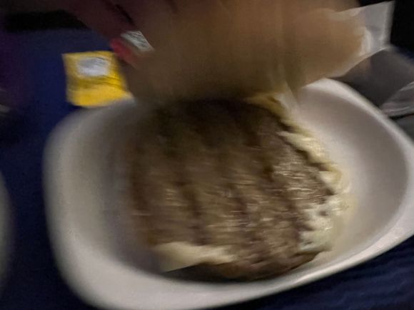 Burger bun was dried out/over cooked.  