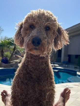 Ooh, that pool is refreshing!