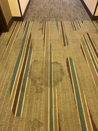 Filthy hallway carpet