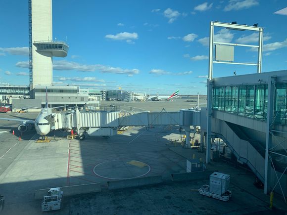 The beautiful bird after arriving at JFK. 