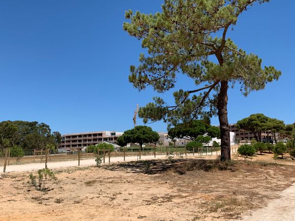 Resort building