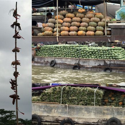 Floating market.  These boats carry pumpkins, watermelon, and pineapple.  Much more is sold.  Story pole shows produce available for sale on that boat.