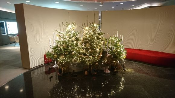 Lovely tree in the entrance to the P lounge. I didn't really notice much change in the menu re. Versailles though my steak was cooked a bit differently... no peppercorns.