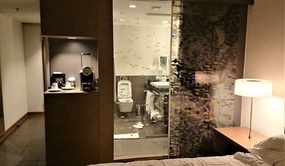View of the bathroom from the room. 