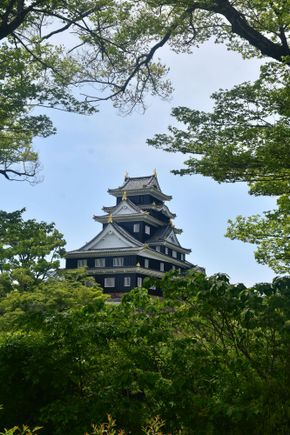View of the castle from a picnic area in the garden