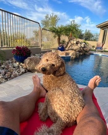 Poppy being cozy with a visitor from Illinois. She’s getting ready to “reveal”  her renovated pool and back yard this afternoon. 