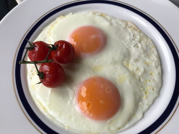 Standard eggs