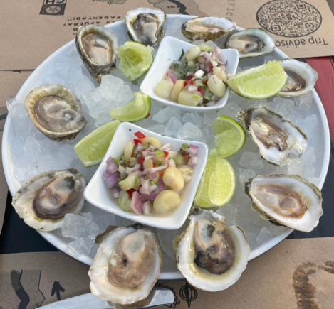 Oysters