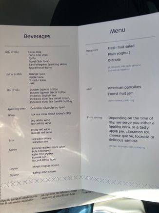 Today's special was carrot juice.  I wonder how long the flight has to be to qualify for a tasty samosa?