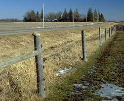Electric Fence