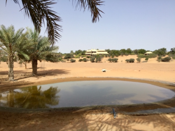 I was standing on the far side of the watering hole when I took this picture of the resort during the daytime.