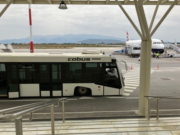 Group 1 bus