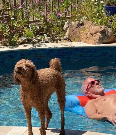 I’m going to need EVERYONE in the pool!