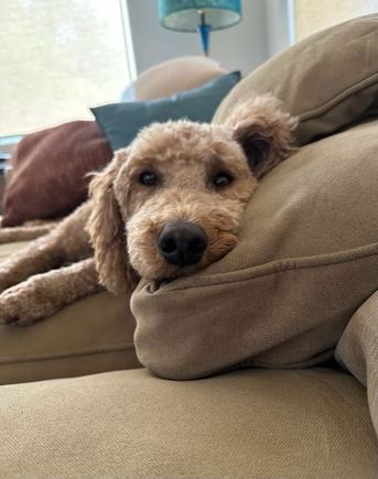 Our sweet girl after her spa day