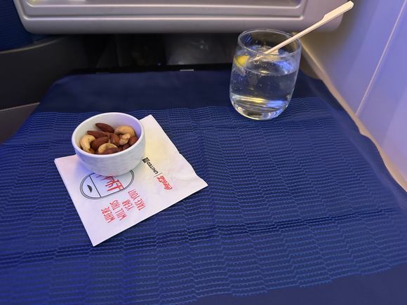 Sparkling Water w/ Lemon and Mixed Nuts to begin