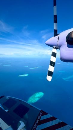 Seaplane flight