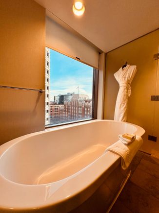 Tub with a view