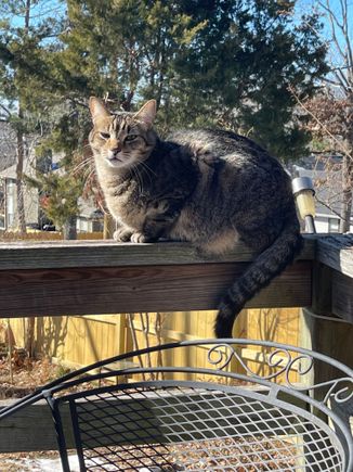 George says he’s feeling better but wants to know if we can turn the temp up outside.