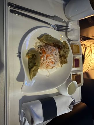 Pre landing veggie Gyoza. Decent but would have loved some soy sauce. 