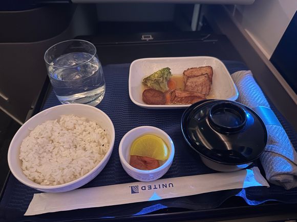 Pre-Landing Meal Service | Japanese Option of Grilled Fish w/ Rice and Several Side Dishes