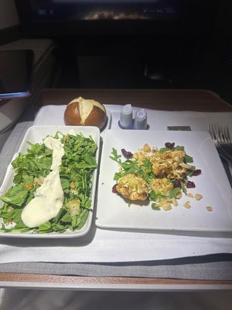 Appetizer. AA needs to improve their salad for flagship flights as it is basically a plate of arugula. 