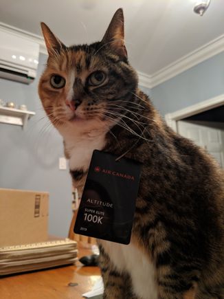 My package was waiting for me, too.