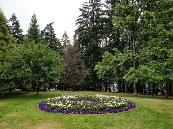 Queenstown gardens