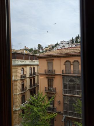 View from window in bedroom