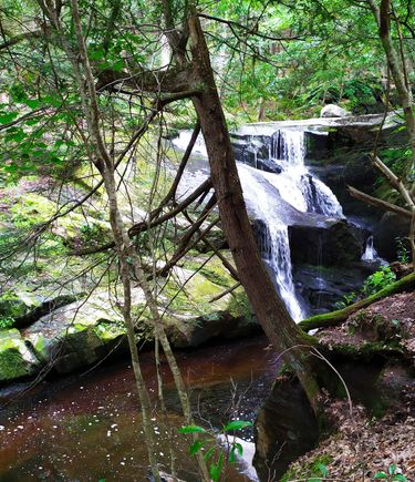 Enders Brooks Falls, in the Connecticut woods