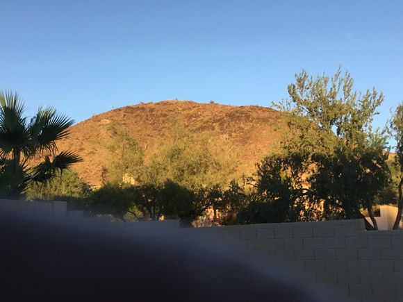 Phoenix [our friend's place]