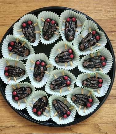 A friend made cicada brownies. (No cicadas were harmed in the making of this photo - or the brownies). 