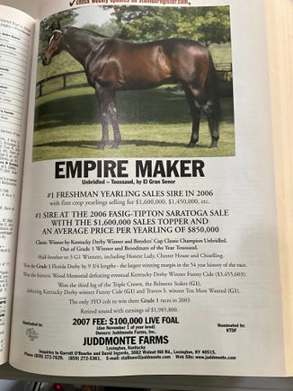 Empire Maker at the start of what seemed destined to be a great stud career before a lull in progeny productivity led to him being sold and shipped overseas right as his offspring were on a roll