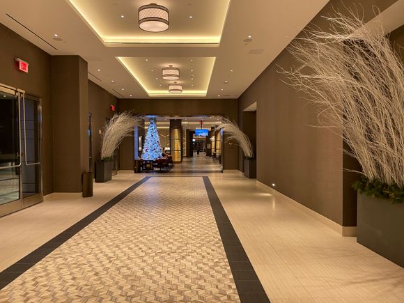 Hallway leading to check in.  