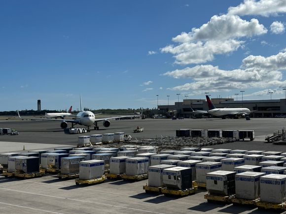 3 Delta 767s in one shot at HNL. 