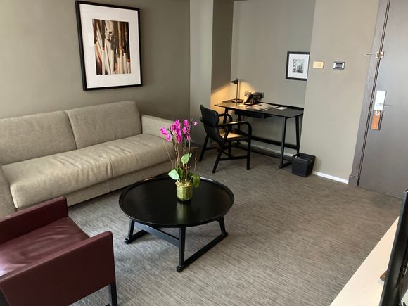 Entrance and living room with sofabed
