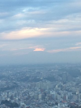 Mt. Fuji making a morning appearance from the Royal Park Hotel. 