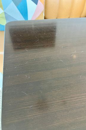 Dog hair?