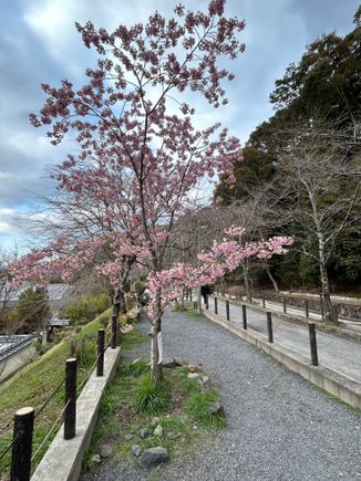 The Philosopher’s Walk