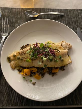 Rainbow trout 6/10