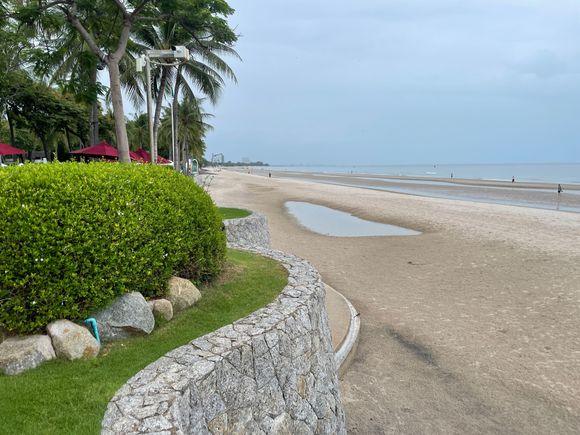The beach.  