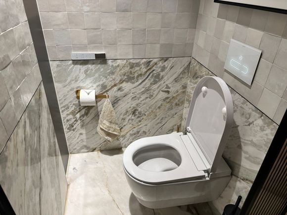 bathroom toilet area, super small space between the toilet and the wall 