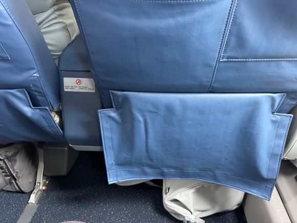 missing velcro on the bottom of 1D (N901XJ), so the hanging seat back pocket trim creates a very non-F look