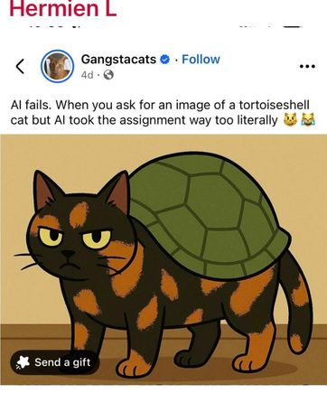 test case for caption