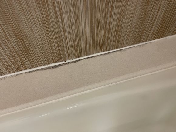 Black gunk in the shower.