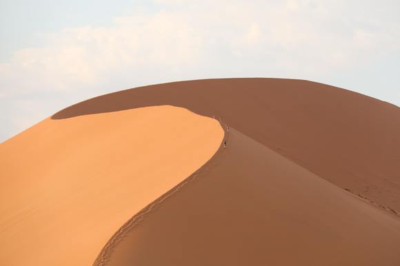 Dune 45