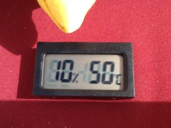 Temperature from the terrace rose to 52 C at 15:00.