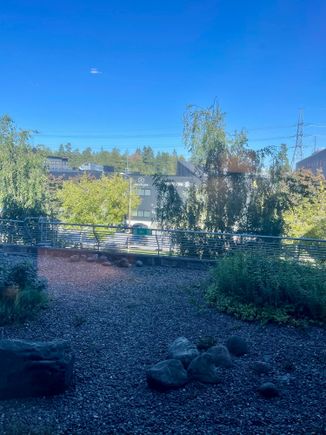View from the room