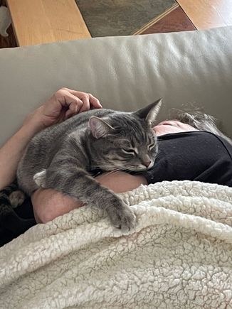 Mom and kitty napping.   
