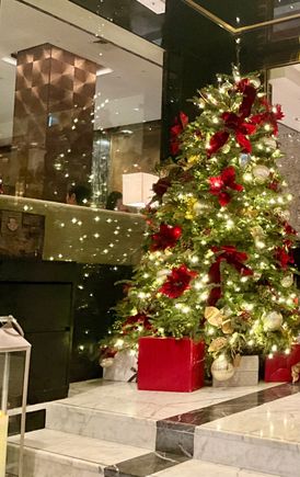 One of the MOHK CHRISTmas trees provides cheer and welcoming guests to a cold HK 
